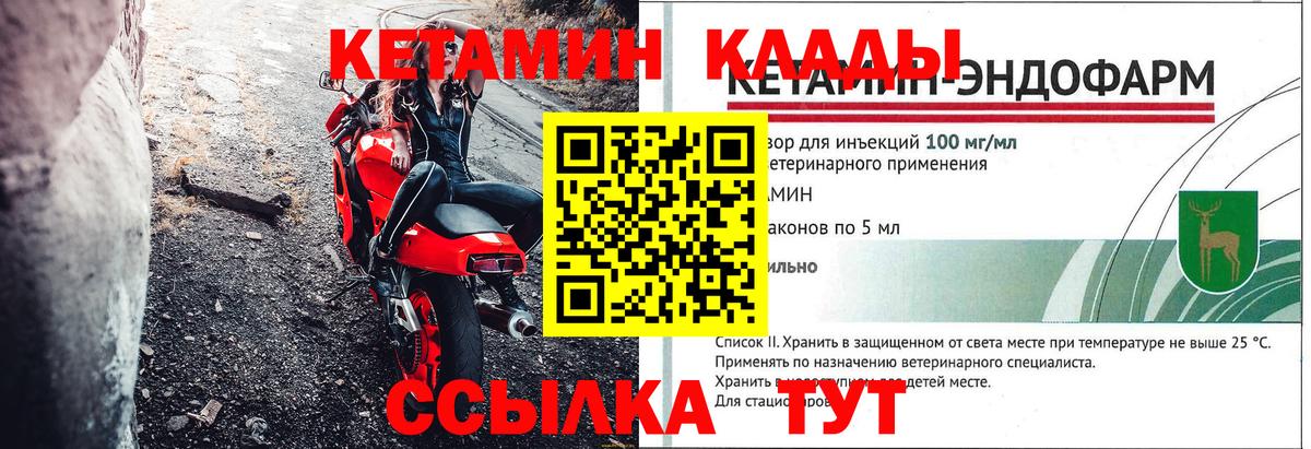 Псилоцибиновые грибы Петропавловск-Камчатский