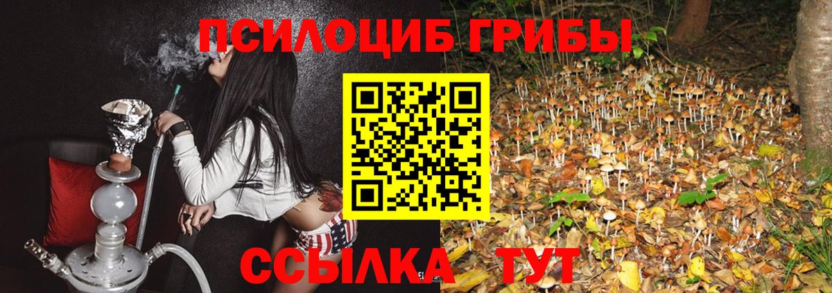 Петропавловск-Камчатский  Псилоцибиновые грибы MAGIC MUSHROOMS  Вход с VPN 
